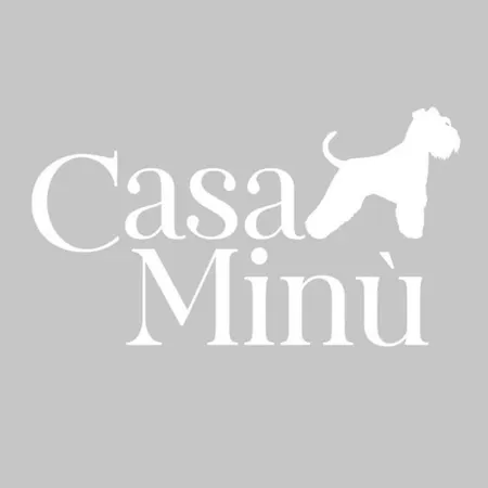 Гостевой дом Casa Minu Виареджо
